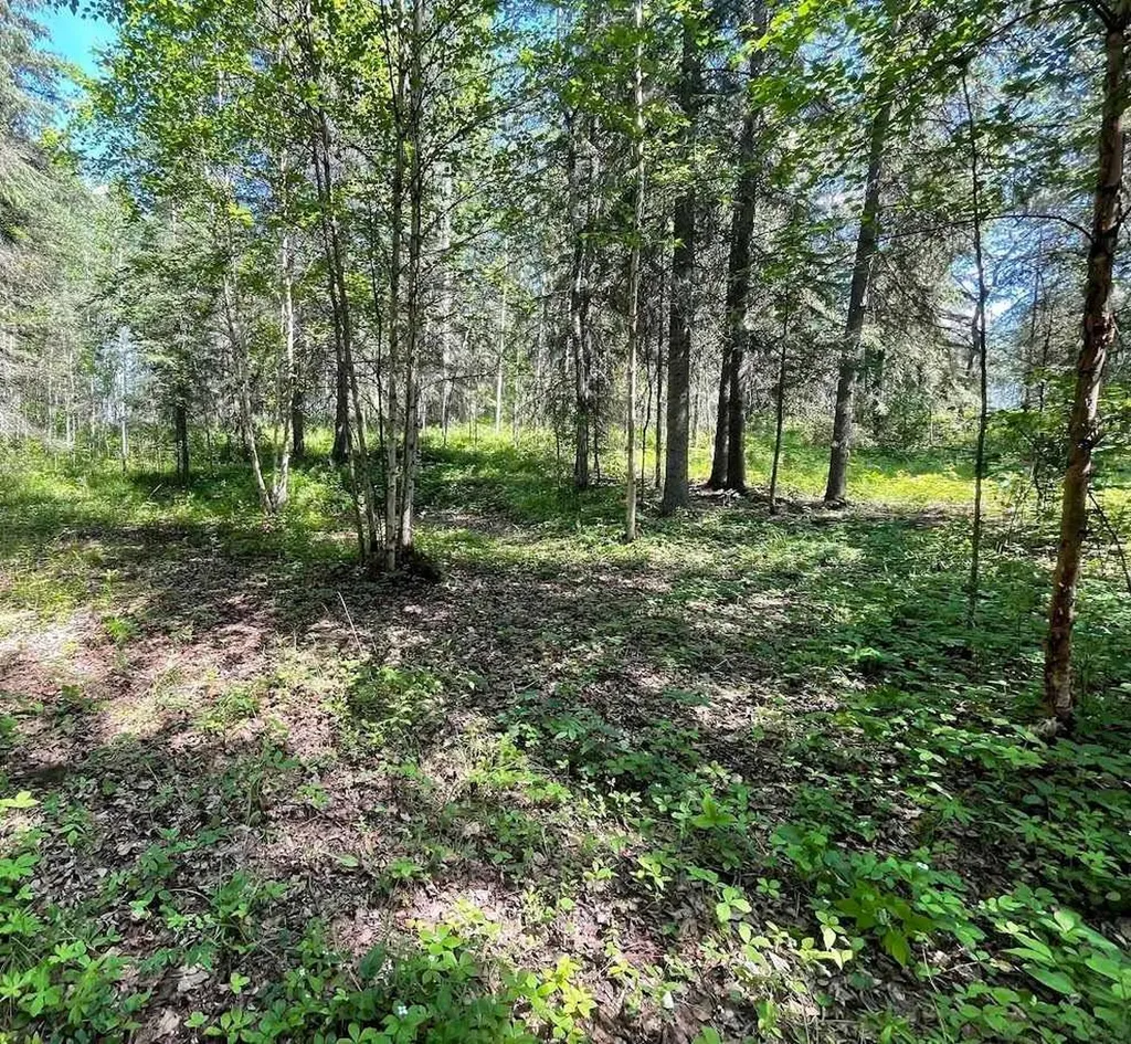 221054 670 Township Rural Athabasca County AB T9S 2B5