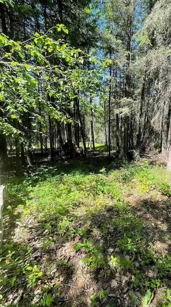 221054 670 Township Rural Athabasca County AB T9S 2B5