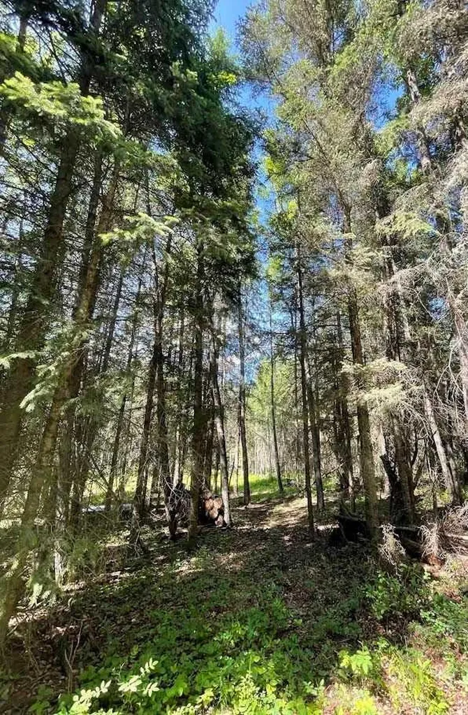 221054 670 Township Rural Athabasca County AB T9S 2B5