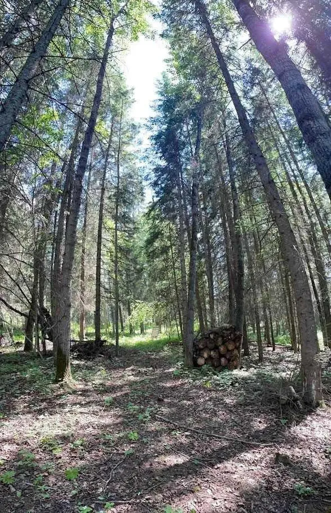 221054 670 Township Rural Athabasca County AB T9S 2B5