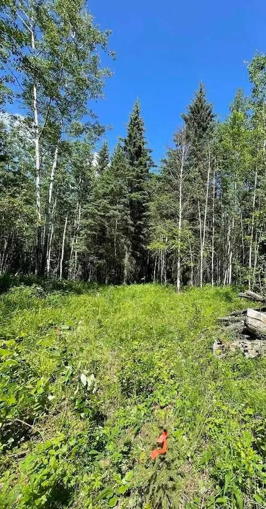 221054 670 Township Rural Athabasca County AB T9S 2B5