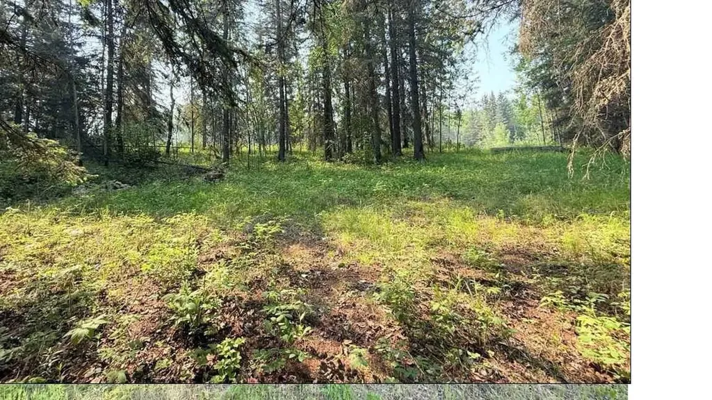 221054 670 Township Rural Athabasca County AB T9S 2B5