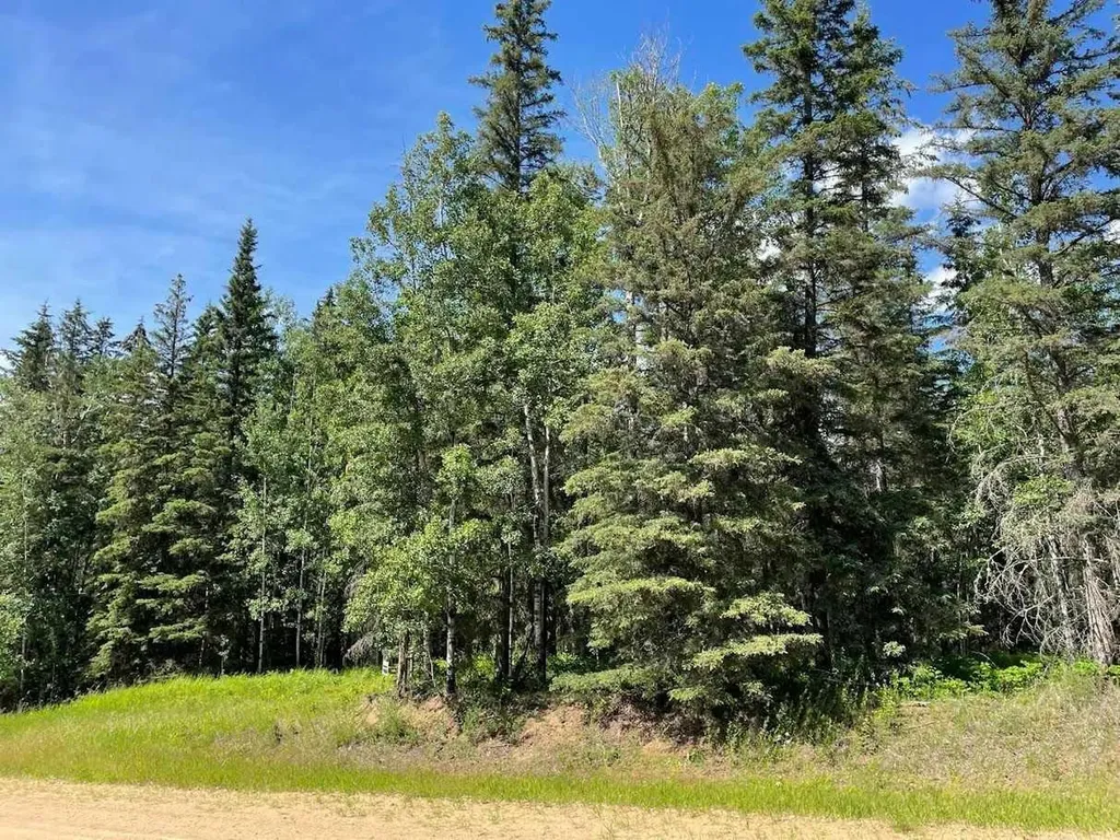 221054 670 Township Rural Athabasca County AB T9S 2B5