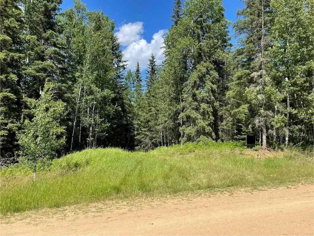 221054 670 Township Rural Athabasca County AB T9S 2B5