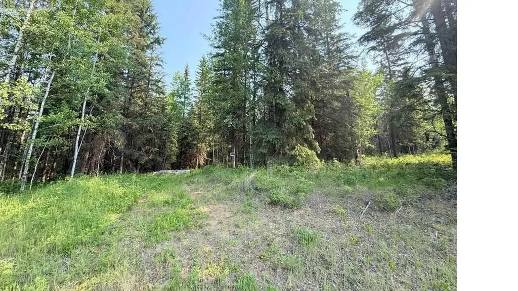 221054 670 Township Rural Athabasca County AB T9S 2B5