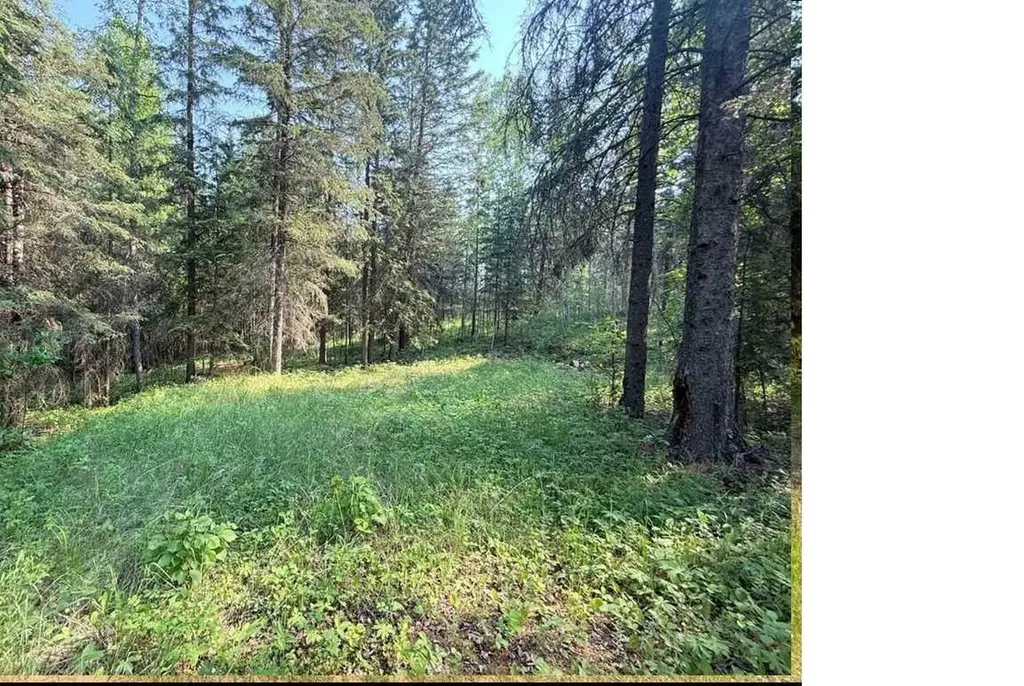 221054 670 Township Rural Athabasca County AB T9S 2B5