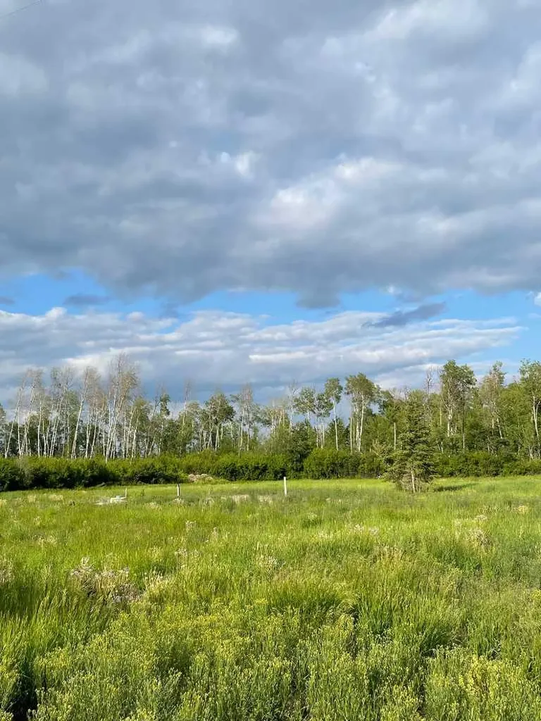 109535 Rg Road 165 Rural Mackenzie County AB T0H 1Z0