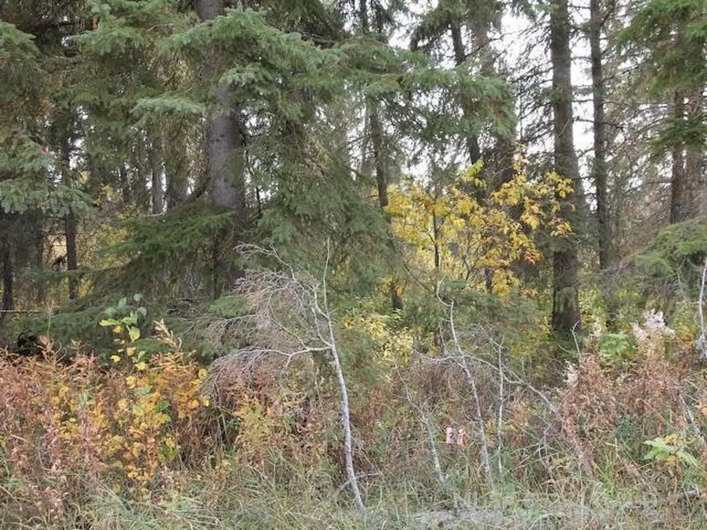 Lot 25 Bodnar Road Brightsand Lake SK S0M 0H0