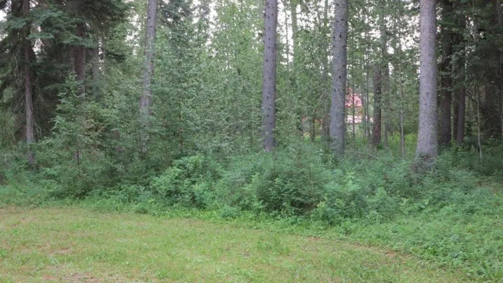 306 Aspen Bay Brightsand Lake SK S0M 0H0