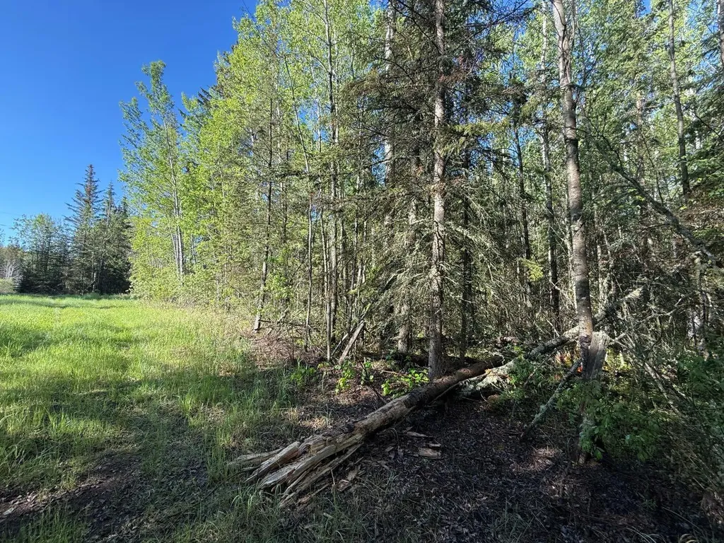 Township Road 640 Perryvale AB T0G0R0