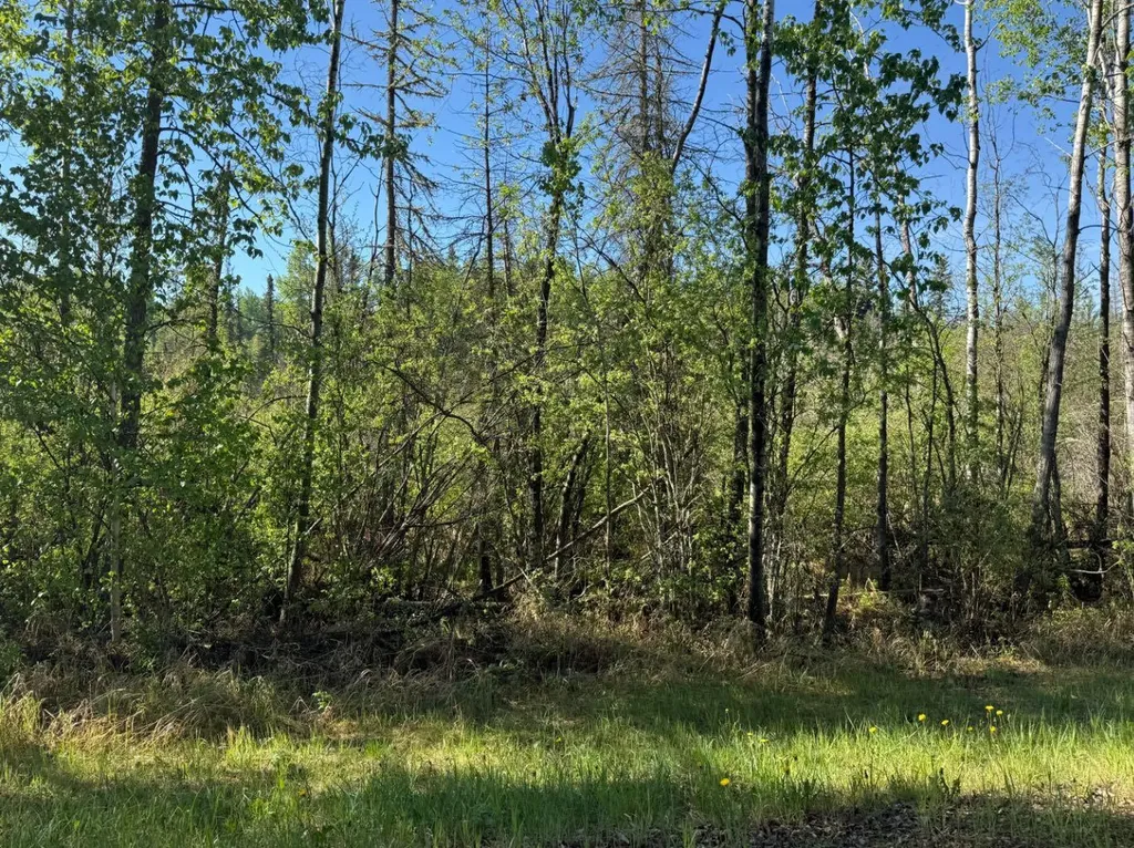Township Road 640 Perryvale AB T0G0R0