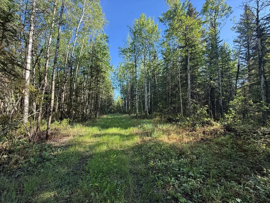 Township Road 640 Perryvale AB T0G0R0