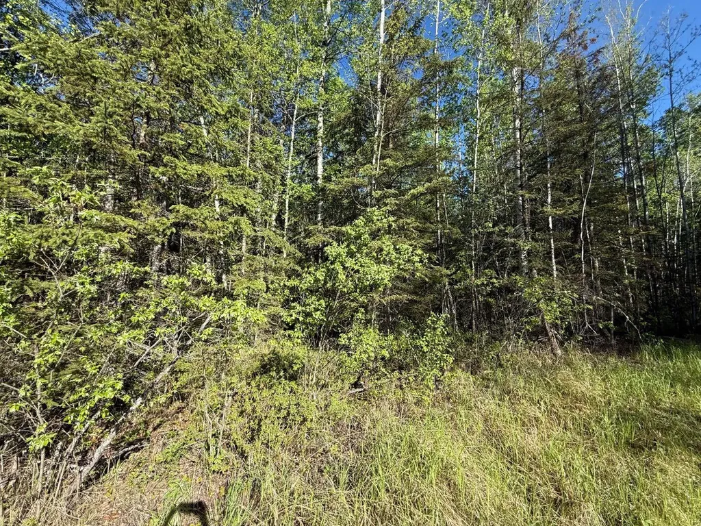 Township Road 640 Perryvale AB T0G0R0