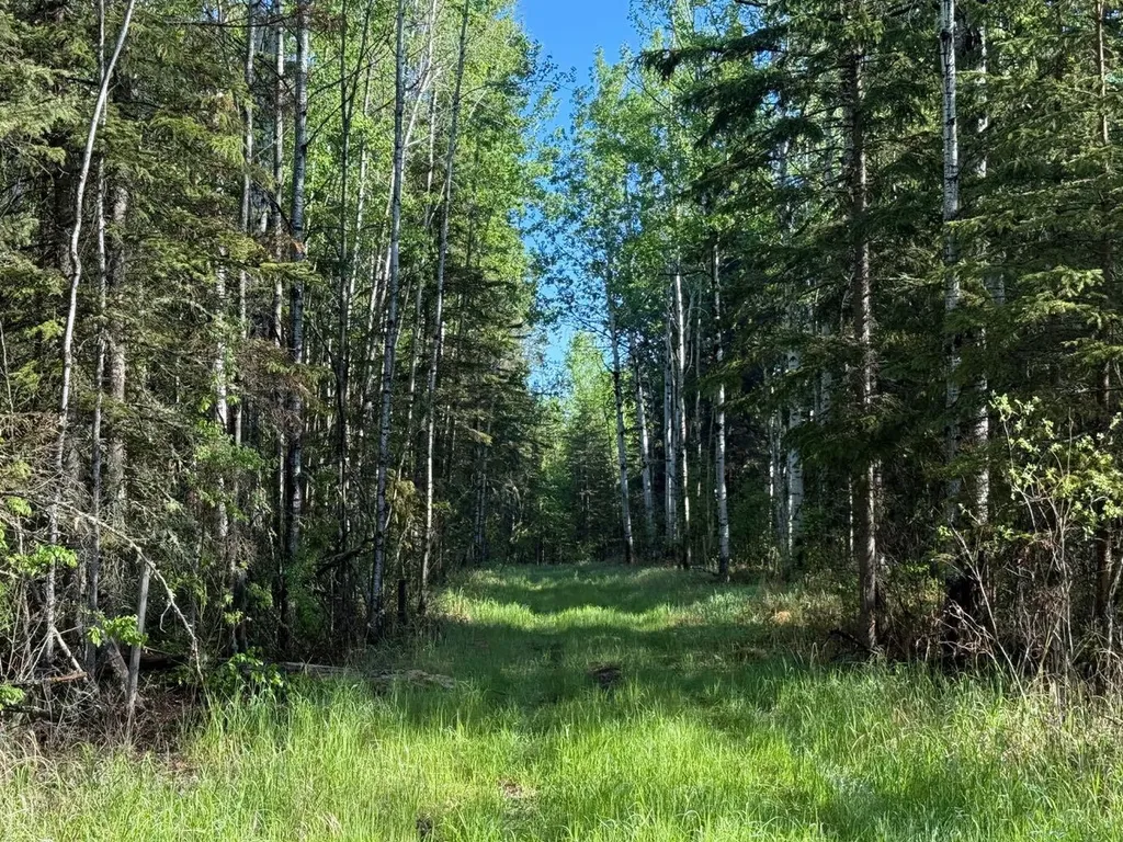 Township Road 640 Perryvale AB T0G0R0