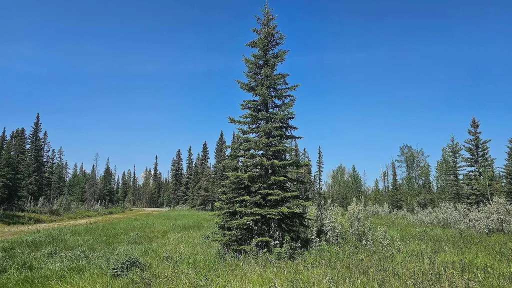 34364 Range Road 42 Rural Mountain View County AB T0M 1X0
