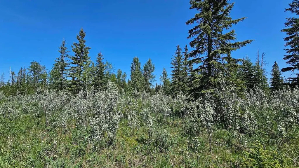 34364 Range Road 42 Rural Mountain View County AB T0M 1X0