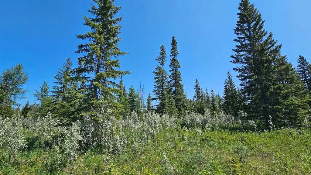 34364 Range Road 42 Rural Mountain View County AB T0M 1X0