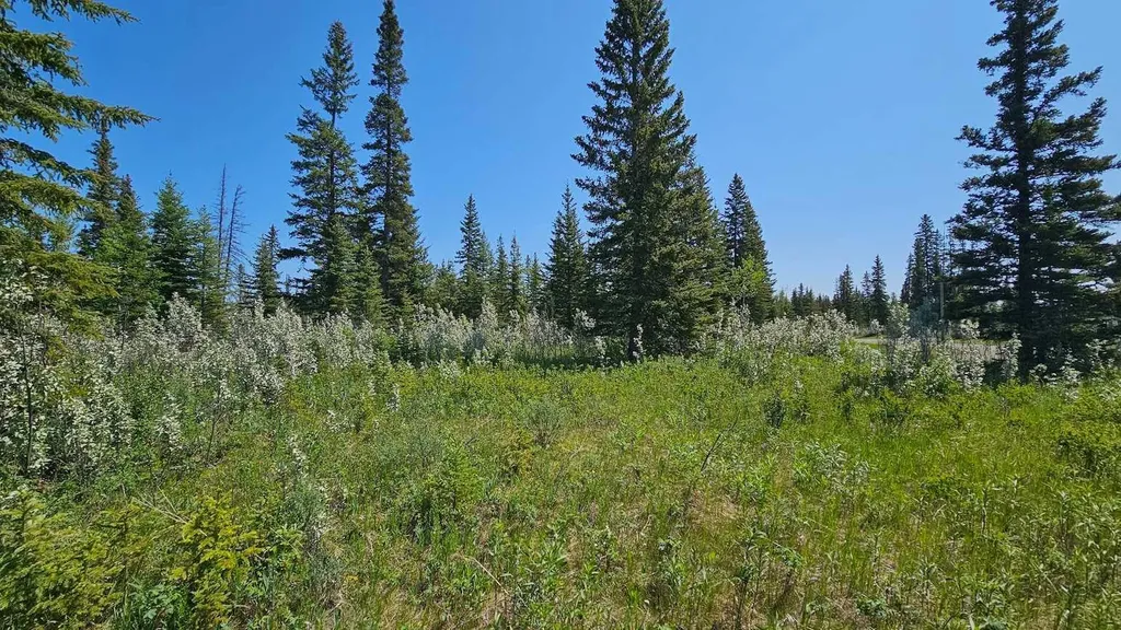34364 Range Road 42 Rural Mountain View County AB T0M 1X0