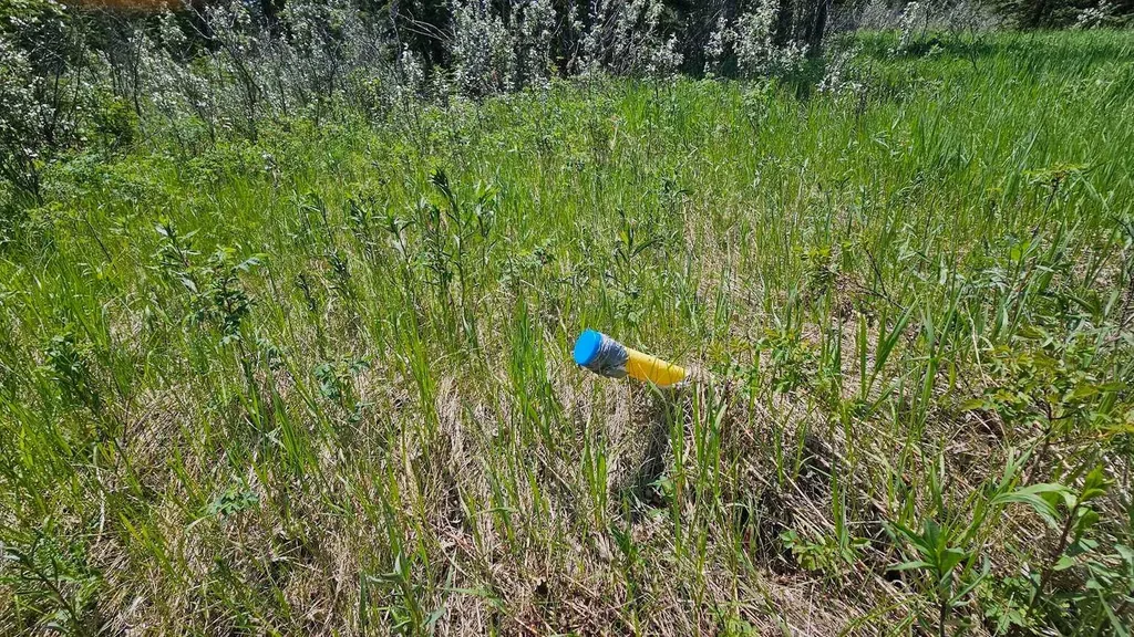 34364 Range Road 42 Rural Mountain View County AB T0M 1X0