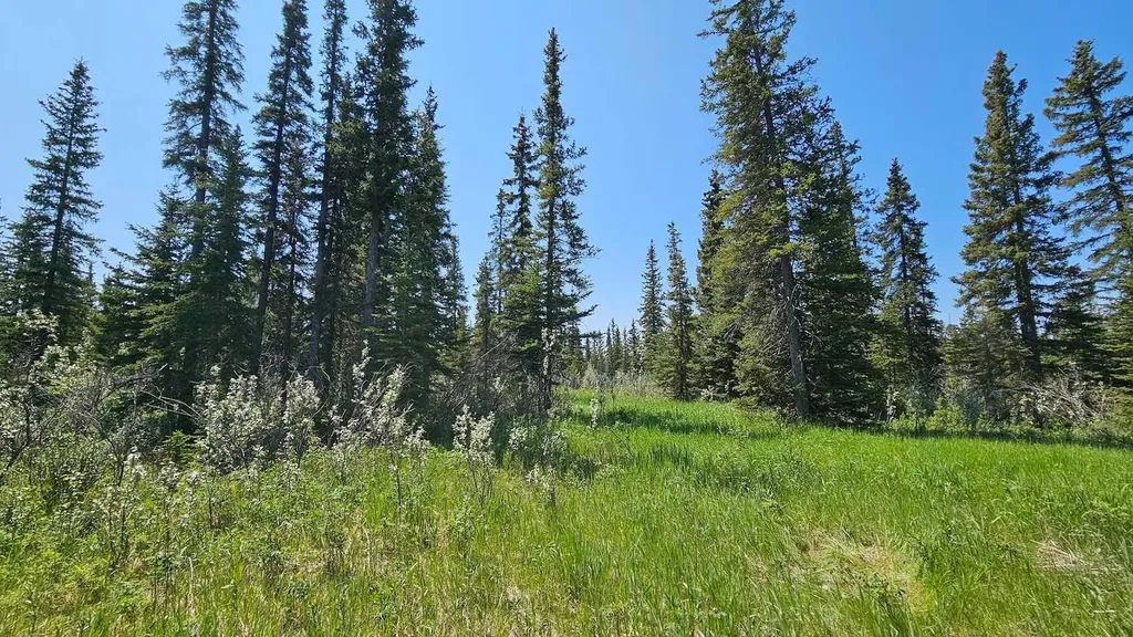 34364 Range Road 42 Rural Mountain View County AB T0M 1X0
