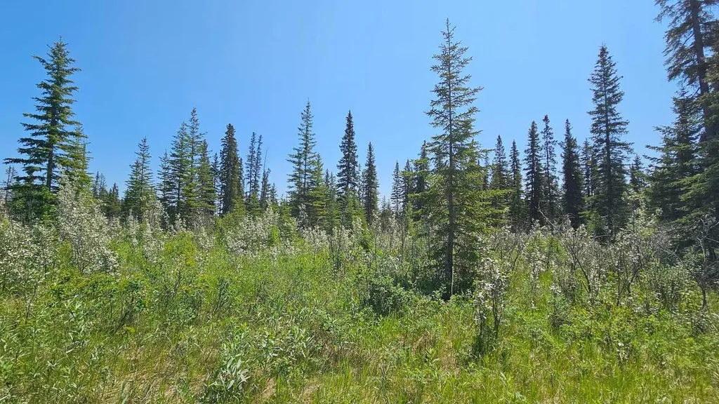 34364 Range Road 42 Rural Mountain View County AB T0M 1X0