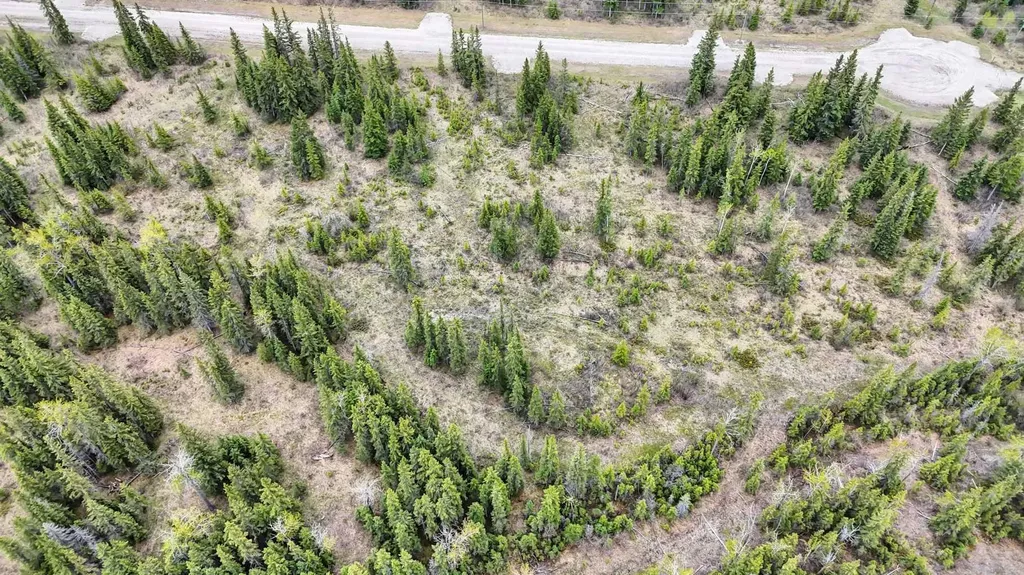 34364 Range Road 42 Rural Mountain View County AB T0M 1X0