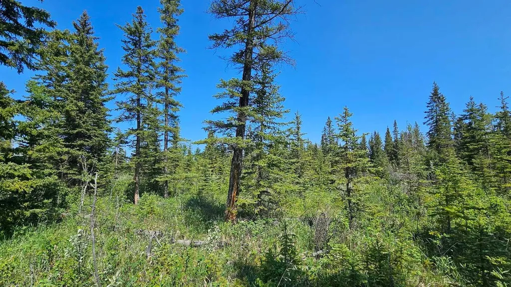 34364 Range Road 42 Rural Mountain View County AB T0M 1X0