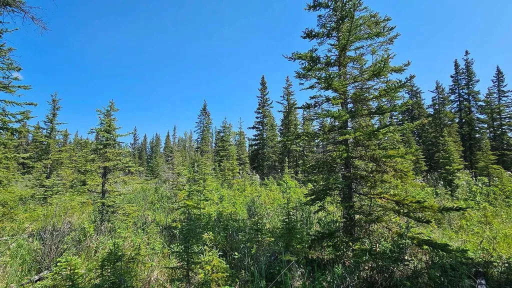 34364 Range Road 42 Rural Mountain View County AB T0M 1X0