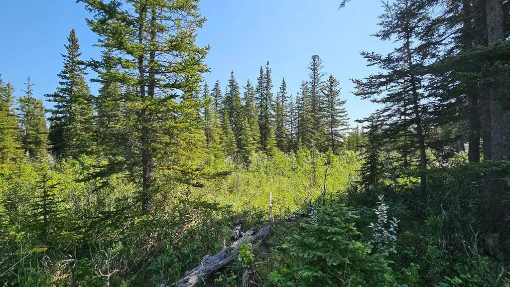34364 Range Road 42 Rural Mountain View County AB T0M 1X0