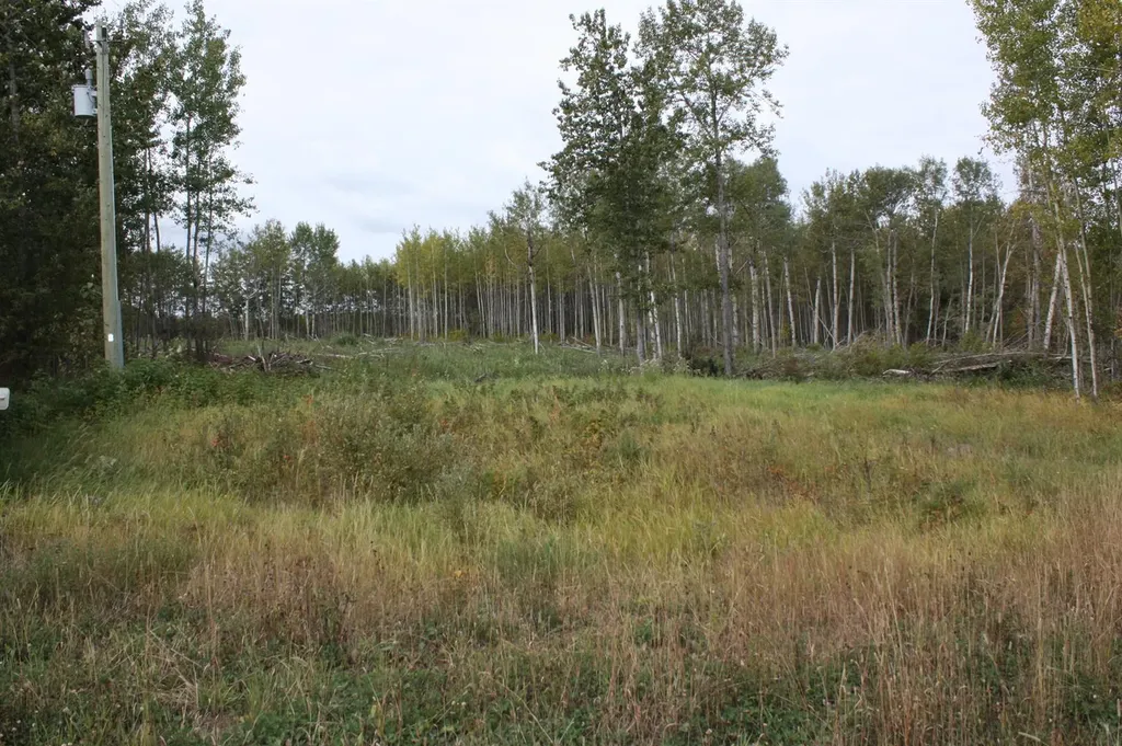 110 67324 Mission Road Lac La Biche AB T0A 2C1