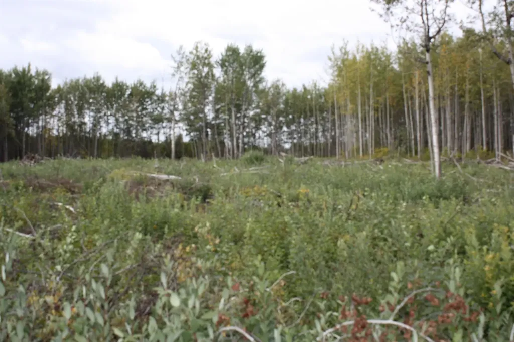 110 67324 Mission Road Lac La Biche AB T0A 2C1