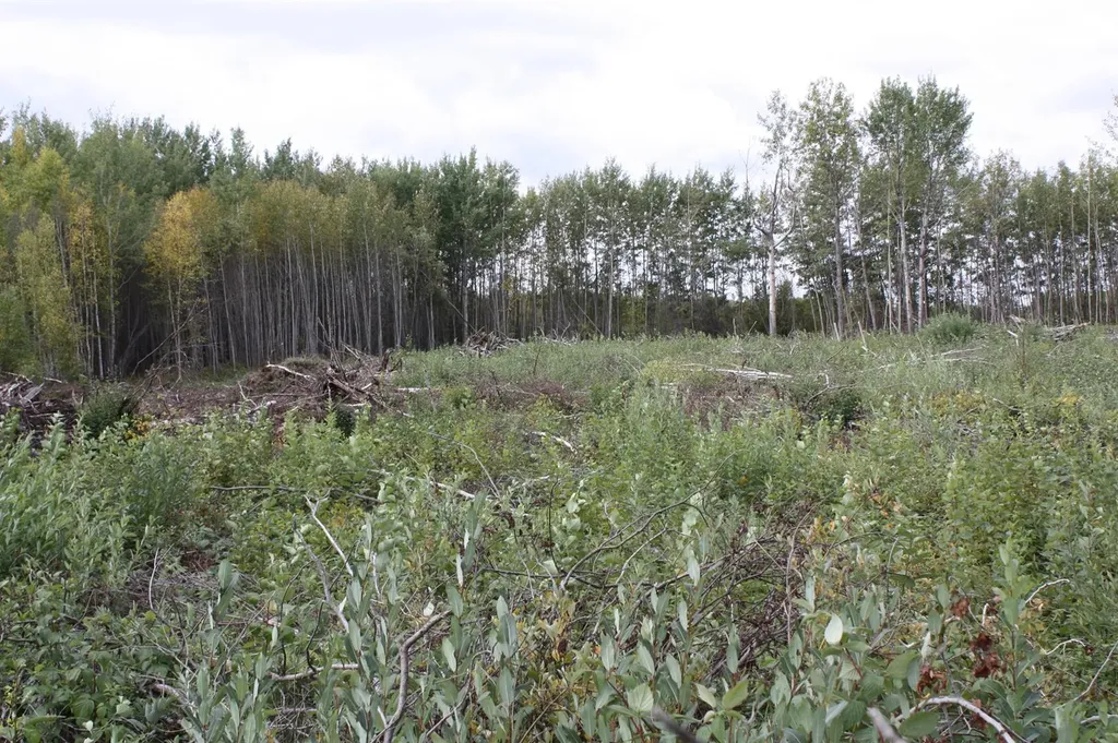 110 67324 Mission Road Lac La Biche AB T0A 2C1