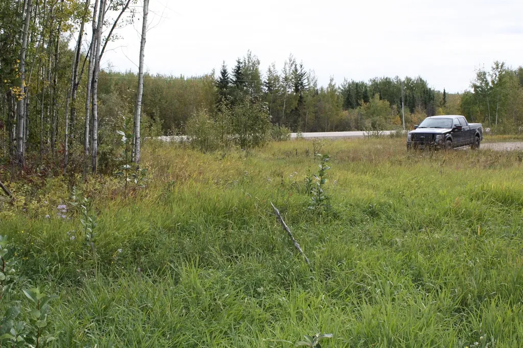 110 67324 Mission Road Lac La Biche AB T0A 2C1