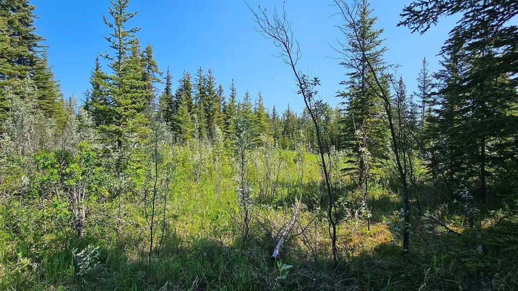 34364 Range Road 42 Rural Mountain View County AB T0M 1X0