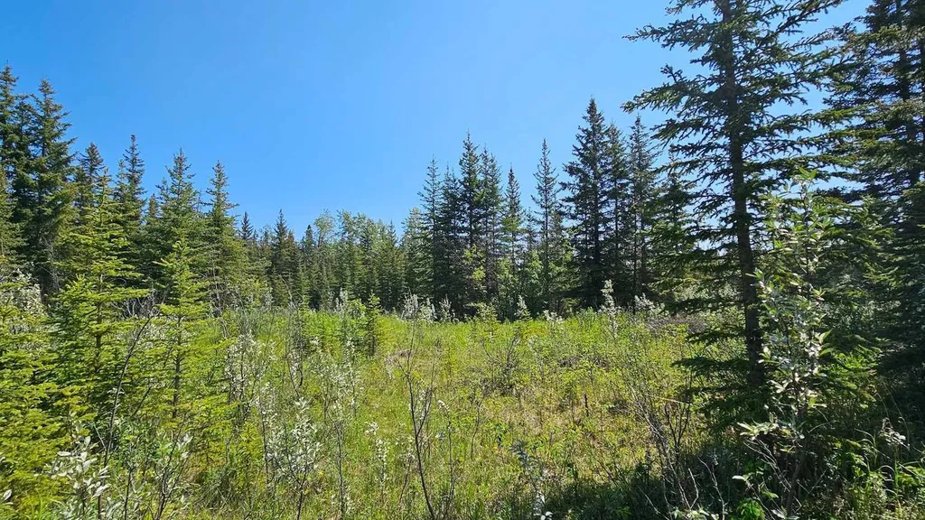 34364 Range Road 42 Rural Mountain View County AB T0M 1X0