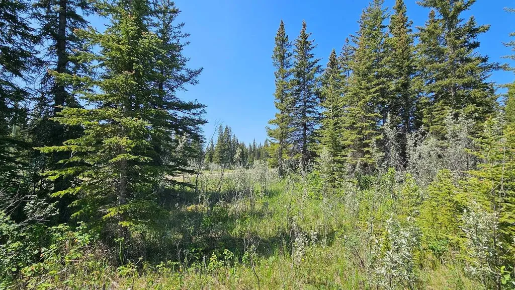 34364 Range Road 42 Rural Mountain View County AB T0M 1X0