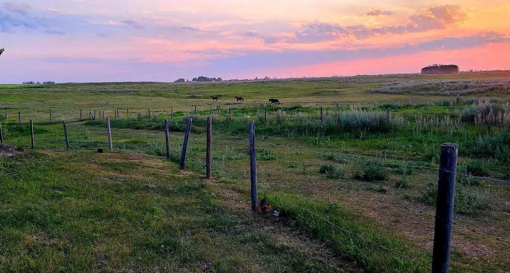 241054 Range Road 260 Rural Wheatland County AB T1P 0Y6