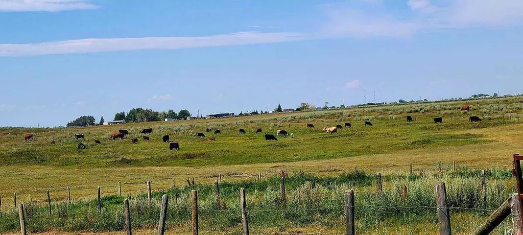 241054 Range Road 260 Rural Wheatland County AB T1P 0Y6