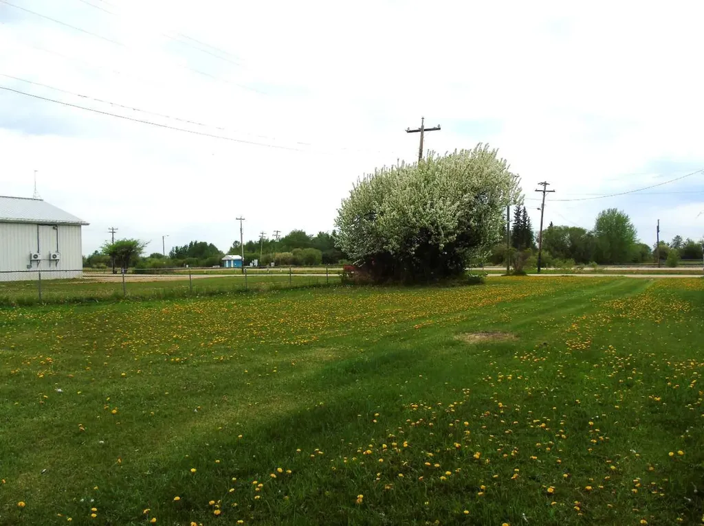Lot 2 1st Street E Faust AB T0G 0X0