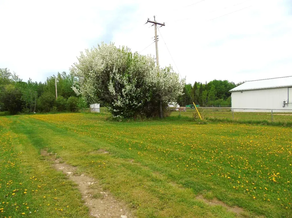 Lot 2 1st Street E Faust AB T0G 0X0