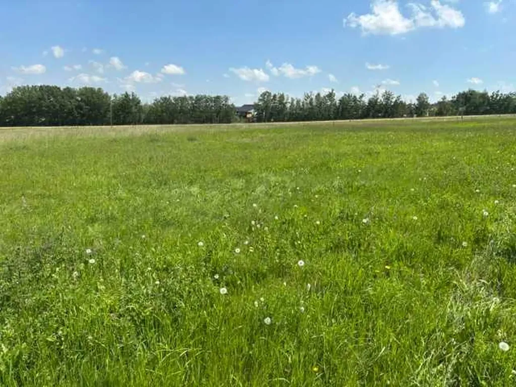 140 Bruhn Boulevard Rural Ponoka County AB T4N 4E7