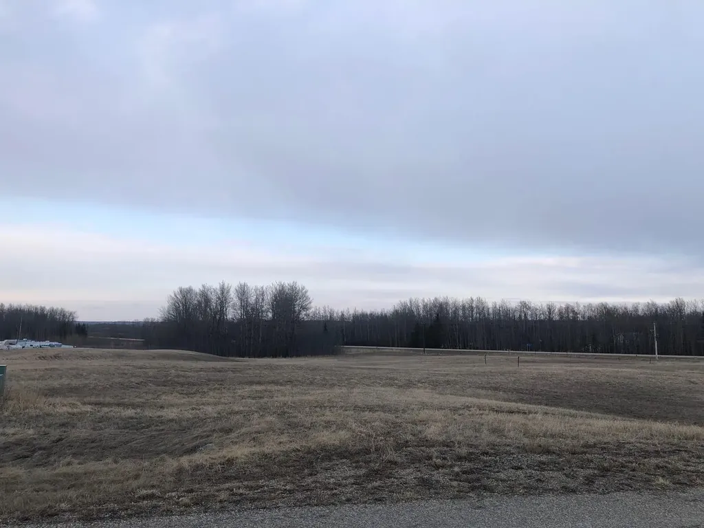 146 Bruhn Boulevard Rural Ponoka County AB T0C 2J0