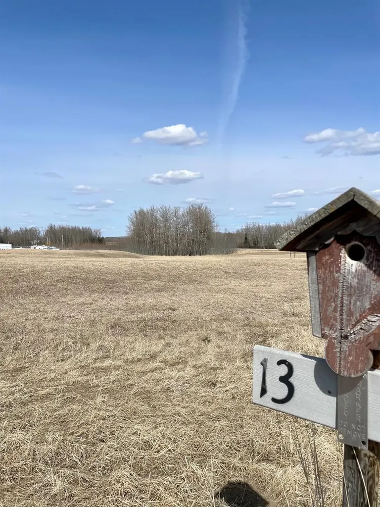 146 Bruhn Boulevard Rural Ponoka County AB T0C 2J0
