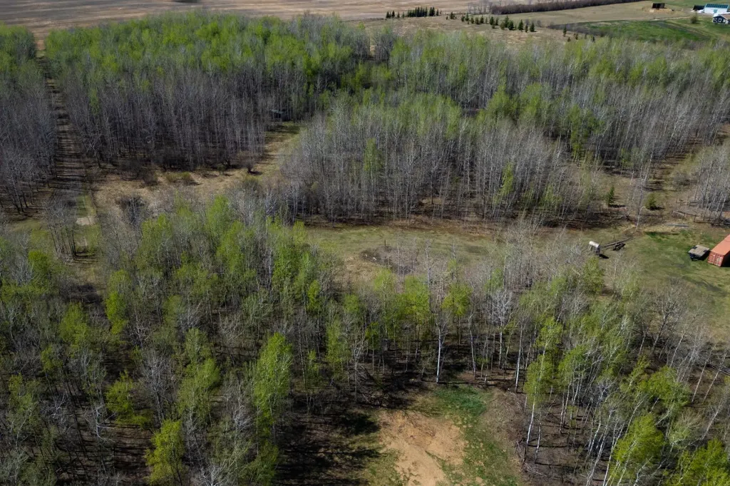 44101 214 Range Rural Camrose County AB T0B1M0