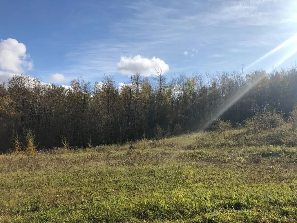 16326 Twp Road 675 Plamondon AB T0A 2T0
