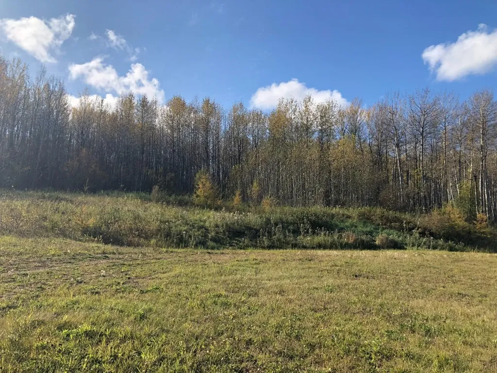 16326 Twp Road 675 Plamondon AB T0A 2T0
