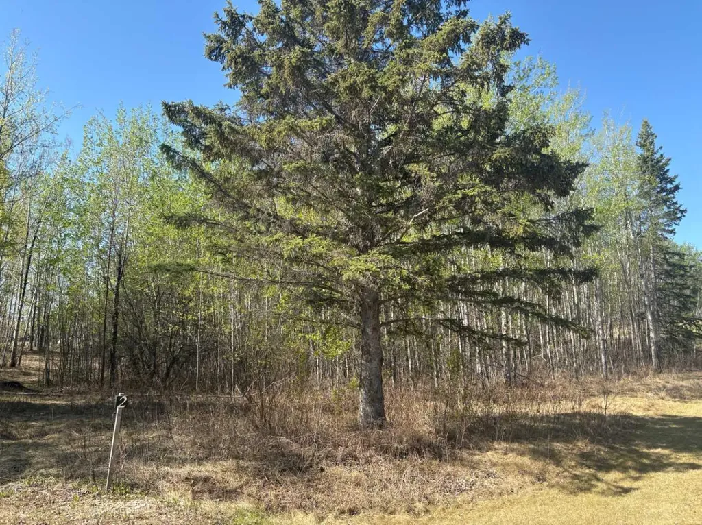 660023 Range Road 224 Rural Athabasca County AB T9S 2A8