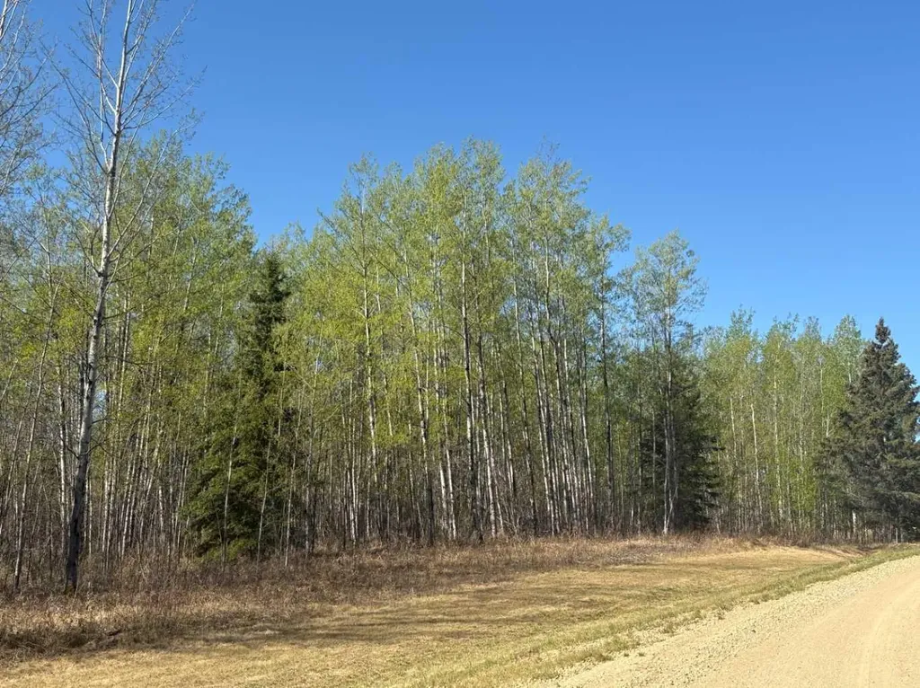 660023 Range Road 224 Rural Athabasca County AB T9S 2A8