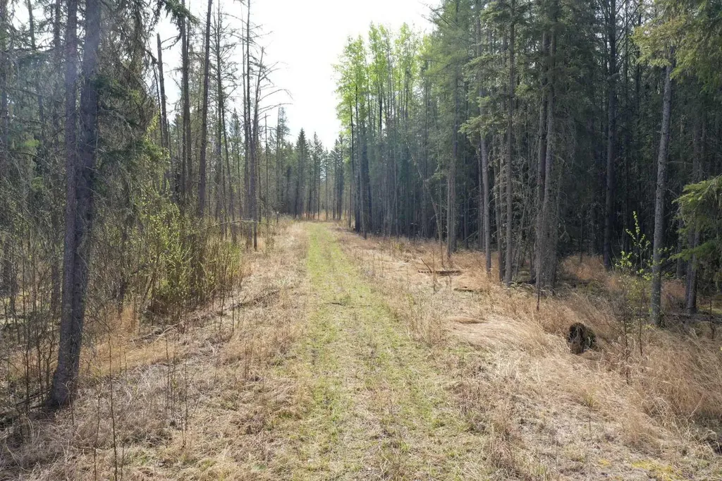 694041 Highway 63 Breynat AB T0A 0E0