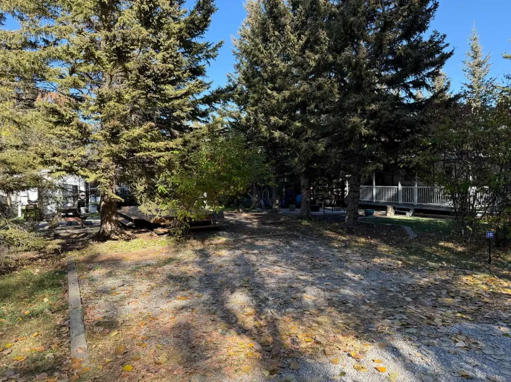 5230 27 Highway Rural Mountain View County AB T0M1X0